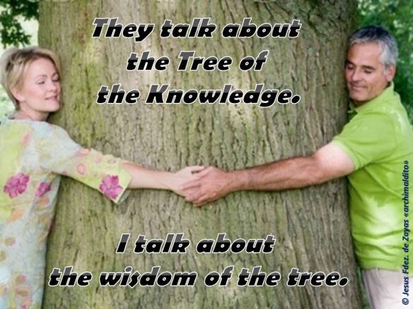 Wisdom tree